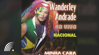 Wanderley Andrade  Minha Cara Nacional Ao Vivo  Álbum Completo [upl. by Gregson]