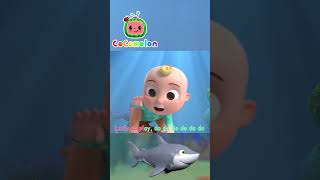 Baby Shark🦈 Cocomelon  Best Animal Videos for Kids  Kids Songs and Nursery Rhymes [upl. by Hadihsar241]