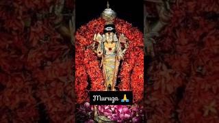 Uppu kathu ootha kathu🙏  Muruganlyrics devotional murugansongs shortsfriday [upl. by Nylinnej896]