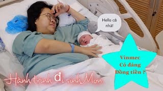 Vlog Đi Sinh Em Bé  Đi sinh ở bệnh viện Vinmec Đà Nẵng  Gia đình Salmon 👼 💖 [upl. by Hereld]