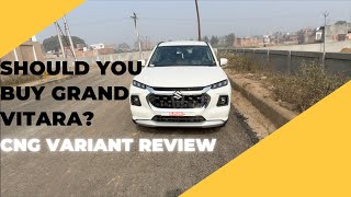 Grand Vitara CNG Detailed Ownership Review  Driving experience  Disappear With Us [upl. by Tann]