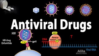 Antiviral Drugs Mechanisms of Action Animation [upl. by Anaib]