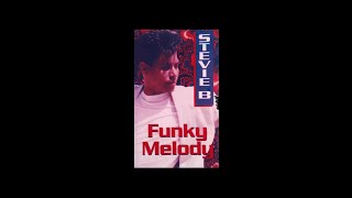 Stevie B  Funky Melody 12 Single Vinyl Remastering [upl. by Nidnarb]