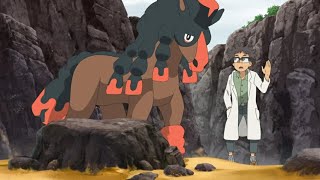 Mudbray and Mudsdale Pokemon all Attacks pokemon mudbray mudsdale all attacks youtubevideo [upl. by Enyehc]