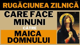 Rugăciune de Ajutor IMEDIAT către Maica DOMNULUI FOARTE PUTERNICA [upl. by Rafe799]