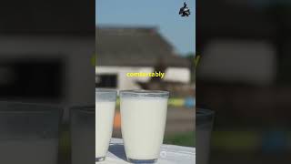 Whole vs Skimmed vs SemiSkimmed Milk Quick Guide [upl. by Mell481]