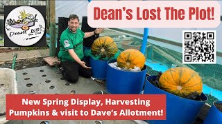 Deans Lost The Plot  New Spring Display Harvesting Pumpkins amp visit to Dave’s Allotment [upl. by Fey]