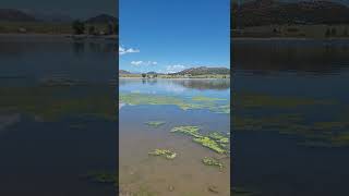 fishing at deweese lake in colorado [upl. by Baalbeer]