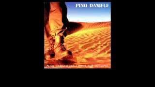 Pino Daniele  O cammello nnammurato [upl. by Capone]