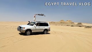 Egypts Hidden Gem  desert safari tour in Fayoum Oasis [upl. by Segalman494]