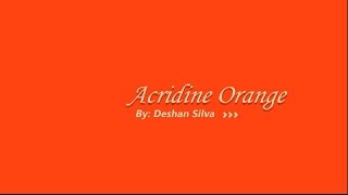 Acridine Orange  3D Model and More [upl. by Nhor]