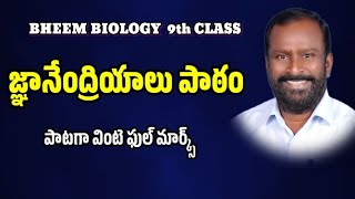 sense organs 9th classsense organs lesson assongramchanderbheemvamshi [upl. by Elissa218]