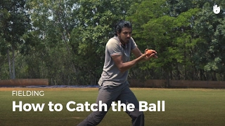 How to Catch the Ball  Cricket [upl. by Bridges]