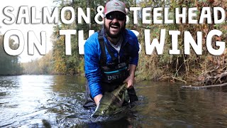 Swinging Flies for Salmon amp Steelhead in November MultiSpecies Day [upl. by Sartin775]