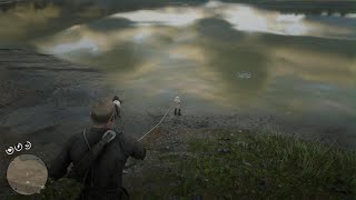 RDR2 fishing for fisherman lol [upl. by Swayne]