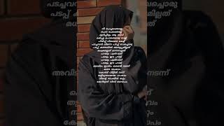 Nee chechelakkalle LyricsSafa Musthafa shorts shortvideo trending song lyrics shortsvideo [upl. by Akirehs295]