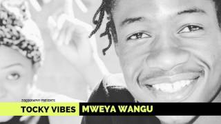 Tocky Vibes  Mweya Wangu Zimdancehall June 2017  zimbabwe songs 2017 [upl. by Edan]