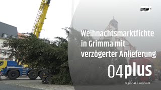 Üppiger Weihnachtsbaum für den Grimmaer Markt sträubt sich gegen den Transport [upl. by Arihas68]