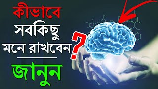 কিভাবে সবকিছু মনে রাখবেন  How To Remember Everything  প্রহেলিকা  Prohelika [upl. by Yarod51]