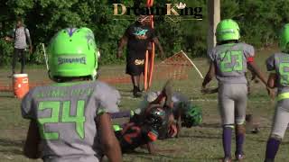 Atlantic Stingrays vs Duval Dolphins 8u [upl. by Deroo]