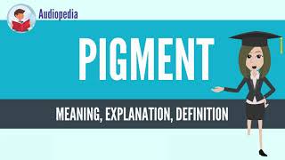 What Is PIGMENT PIGMENT Definition amp Meaning [upl. by Afaw207]