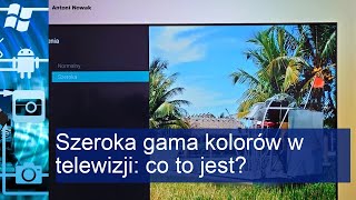 Szeroka gama kolorów w telewizji co to jest [upl. by Ferullo696]