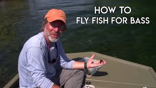 Bass on a Fly  Orvis Guide to Fly Fishing [upl. by Annoerb]