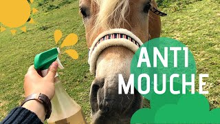 UN ANTI MOUCHES NATUREL  TIPSampASTUCES 2 [upl. by Adyaj]