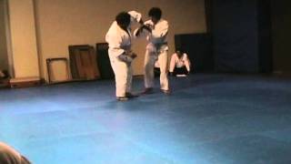 Examen de Aikido estilo Nishio en México  3 [upl. by Aleekahs]