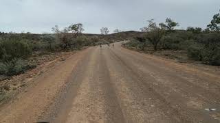 FoxRoo  Road from Arkaroola to Copley [upl. by Nabe]