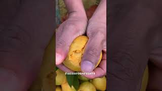 Egg fruit 🍇🍈🍉 fruit trending viral [upl. by Ojadnama]