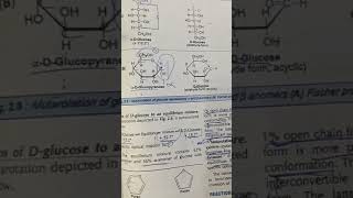 AnomersMutarotationHemiacetal and HemiketalCarbohydrateBiochemistry [upl. by Anaujait]