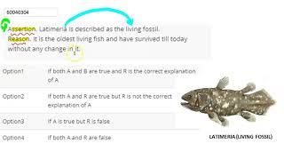 Assertion Latimeria is described as the living fossil Reason It is the oldest living fish and [upl. by Edecrem]