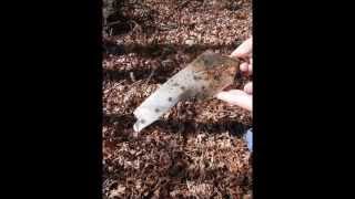 RF4C Phantom Jet Crash on Holston Mountain TN [upl. by Hekker]