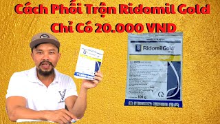 Cách Phối Trộn Ridomil Gold 68WG Cty Syngenta Tại Nhà Giá 20k Điền Râu Hướng Dẫn [upl. by Leehar372]