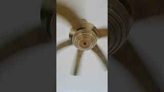 elmark baby ceiling fan in hotel group in surau male [upl. by Shulem175]