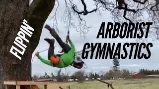 Awesome Arborist gymnastics [upl. by Germann665]