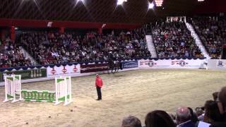 De Quidam Halle Münsterland 2015 [upl. by Korns306]