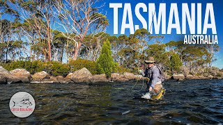 Little Lake Fly Fishing Trip Tasmania [upl. by Anneh41]