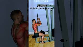 Back workout gymyoutubeshorts gymworkout back gym workoutshortsfeed gymexercises shoulder [upl. by Chura194]