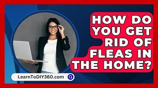 How Do You Get Rid of Fleas in the Home  LearnToDIY360com [upl. by Buine946]