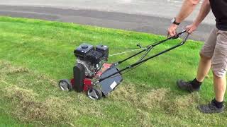 Einhell GCSC 2240 P Scarifier Demonstration and Review [upl. by Katuscha]