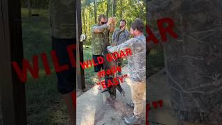 “TROPHY WILD BOAR “ skinning made EASY in Georgia hunting wildhogs trailcamera biggame hog [upl. by Rockafellow]