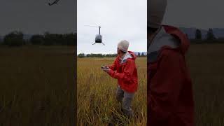 RC Helicopter Trick [upl. by Weidar517]