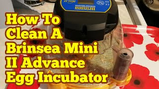 How To Clean An Egg Incubator  Brinsea Mini II Advance Egg Incubator [upl. by Longley]