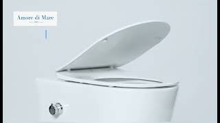 Wall hung rimless toilet Temo Bidet P322X [upl. by Bowles62]