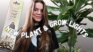 Plant Chores Houseplant Haul  New Grow Light [upl. by Paryavi]