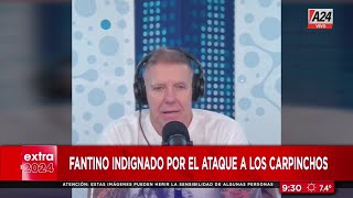 ✋ Fantino indignado por el ataque a los carpinchos en Nordelta [upl. by Nimzay131]