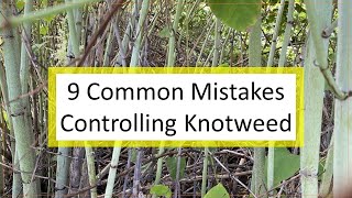 9 Common Mistakes To Avoid in Trying to Control Invasive Knotweed [upl. by Stetson]