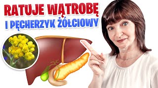 NAJLEPSZE zioła na wątrobę i PĘCHERZYK ŻÓŁCIOWY Usuwa ZASTÓJ ŻÓŁCI Kocanka piaskowa [upl. by Winni129]